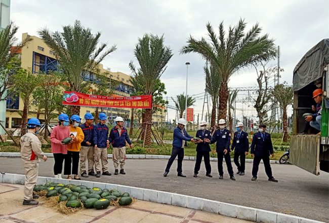 images1363605_d0369ba0a5235d7d0432