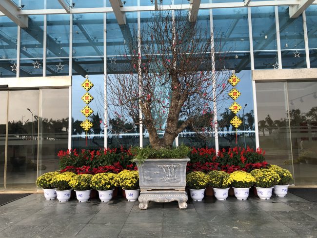 64E35AD0-B1E5-4452-B33B-8B9AEE3C87F9